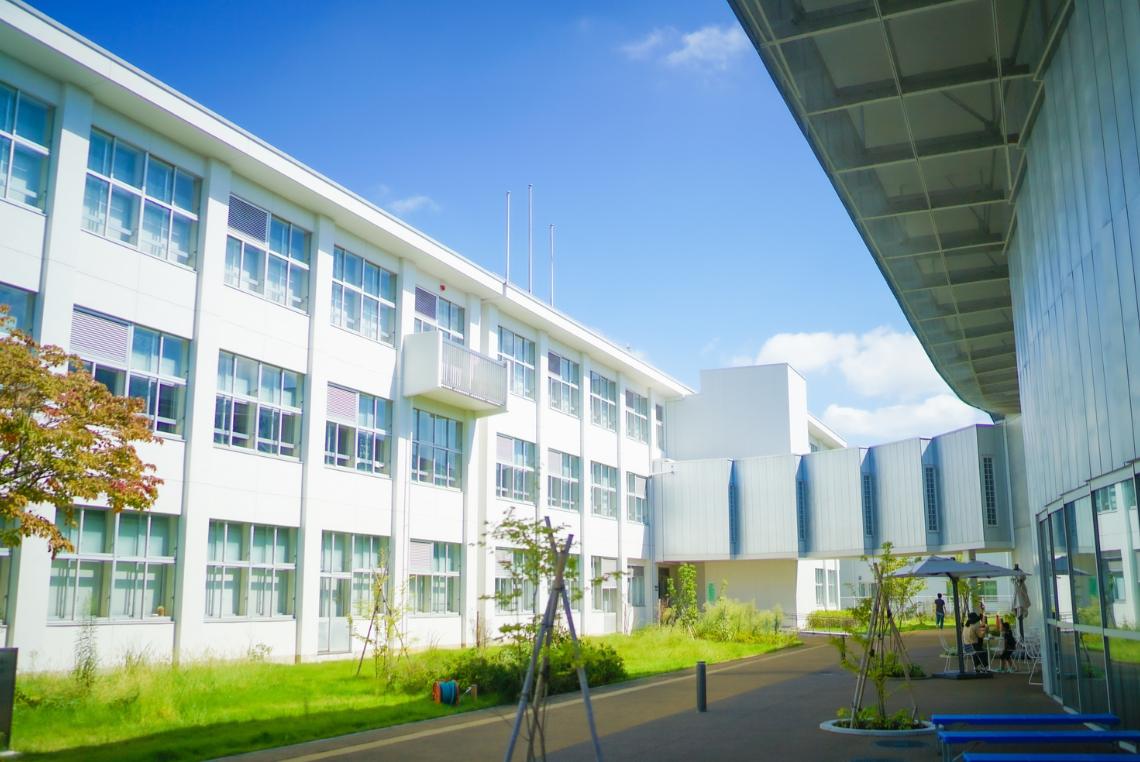 IIM Mumbai New Bachelor Degree